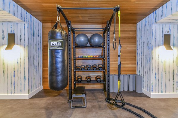 State-of-the-art fitness center with advanced equipment at Novel Midtown Apartments, perfect for active lifestyle enthusiasts