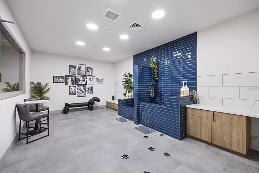 Pet-friendly dog wash station at Soltra at Kierland Apartments