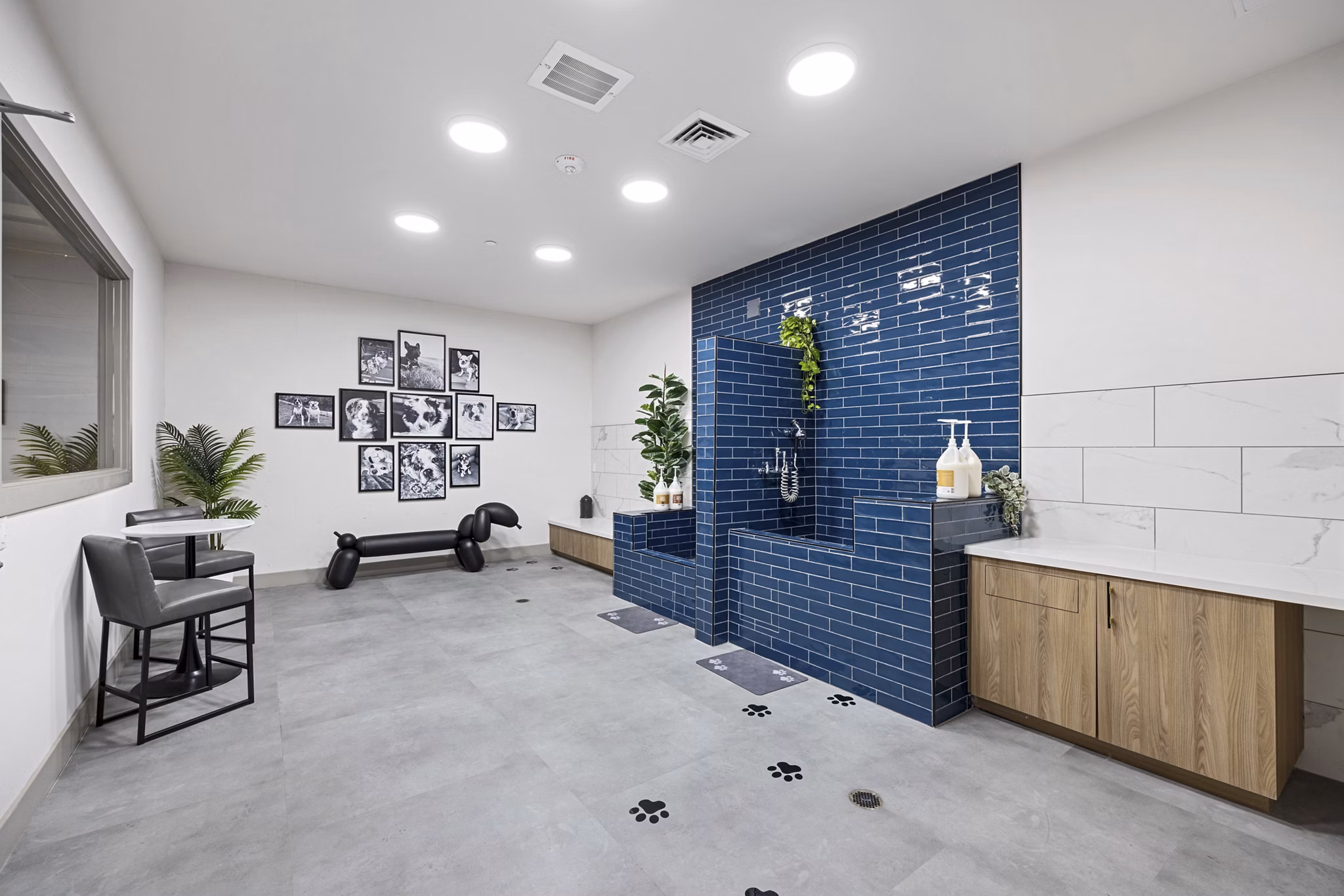 Pet-friendly dog wash station at Soltra at Kierland Apartments