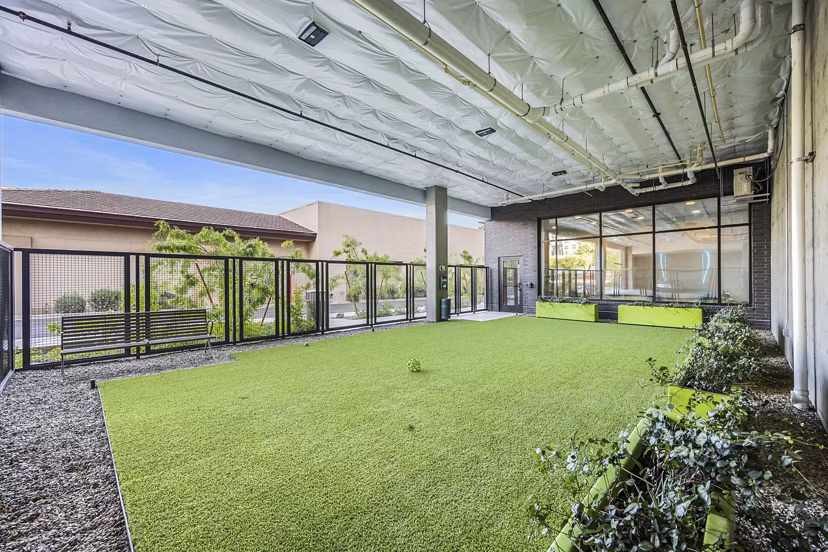 Dog park featuring agility equipment at Soltra at Kierland Apartments, luxury pet-friendly living near Scottsdale