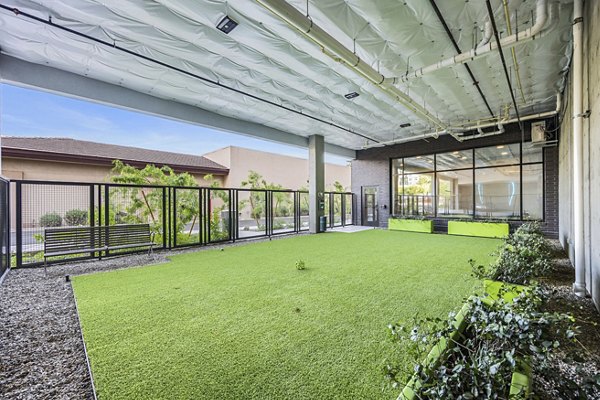 Dog park featuring agility equipment at Soltra at Kierland Apartments, luxury pet-friendly living near Scottsdale