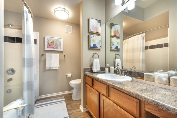 Luxurious bathroom with modern fixtures at Olympus Team Ranch Apartments