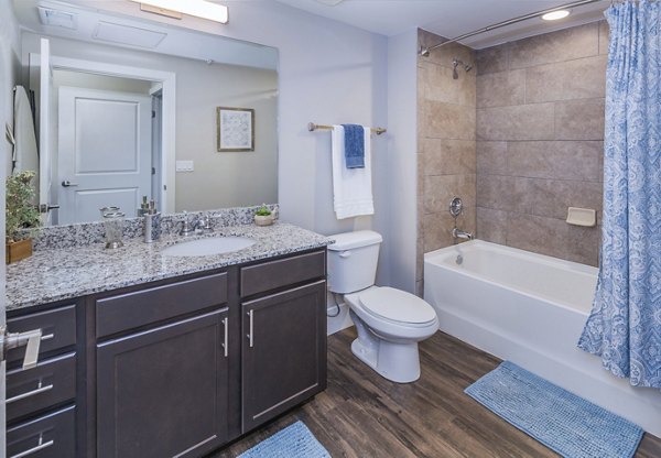 Bathroom with polished marble countertops and modern fixtures at Retreat at Patriot Park Apartments