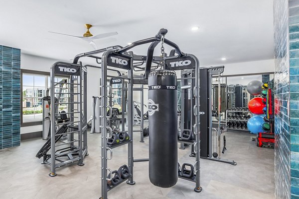 State-of-the-art fitness center with modern equipment at The Premier Apartments
