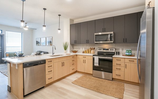 Modern kitchen with stainless steel appliances at The Sommery Apartments, luxury living near city amenities