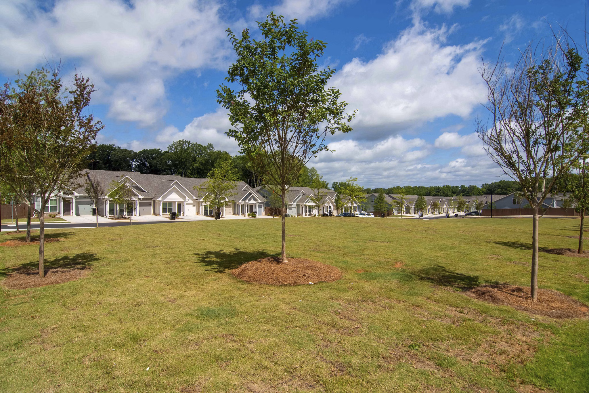 rendering at Summerwell Bells Ferry Apartments