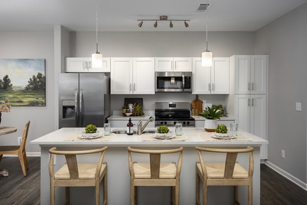 Modern kitchen with stainless steel appliances at The Mill at White House Apartments, a premium living community