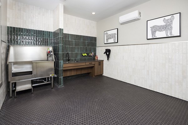 Dog wash station at The Mill at White House Apartments with modern facilities and convenient layout for pet-friendly living