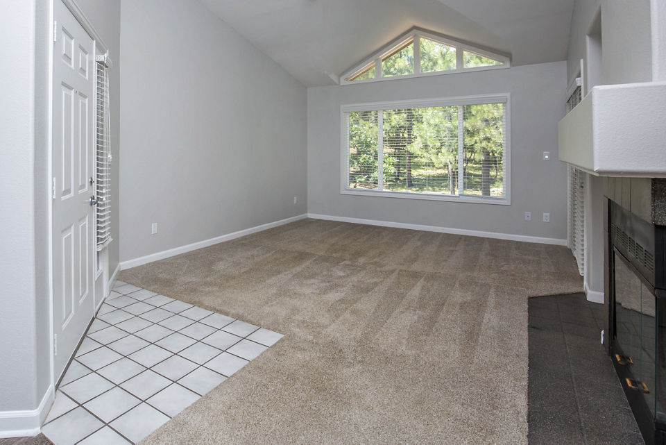 living room at Pines at Broadmoor Bluffs Apartments