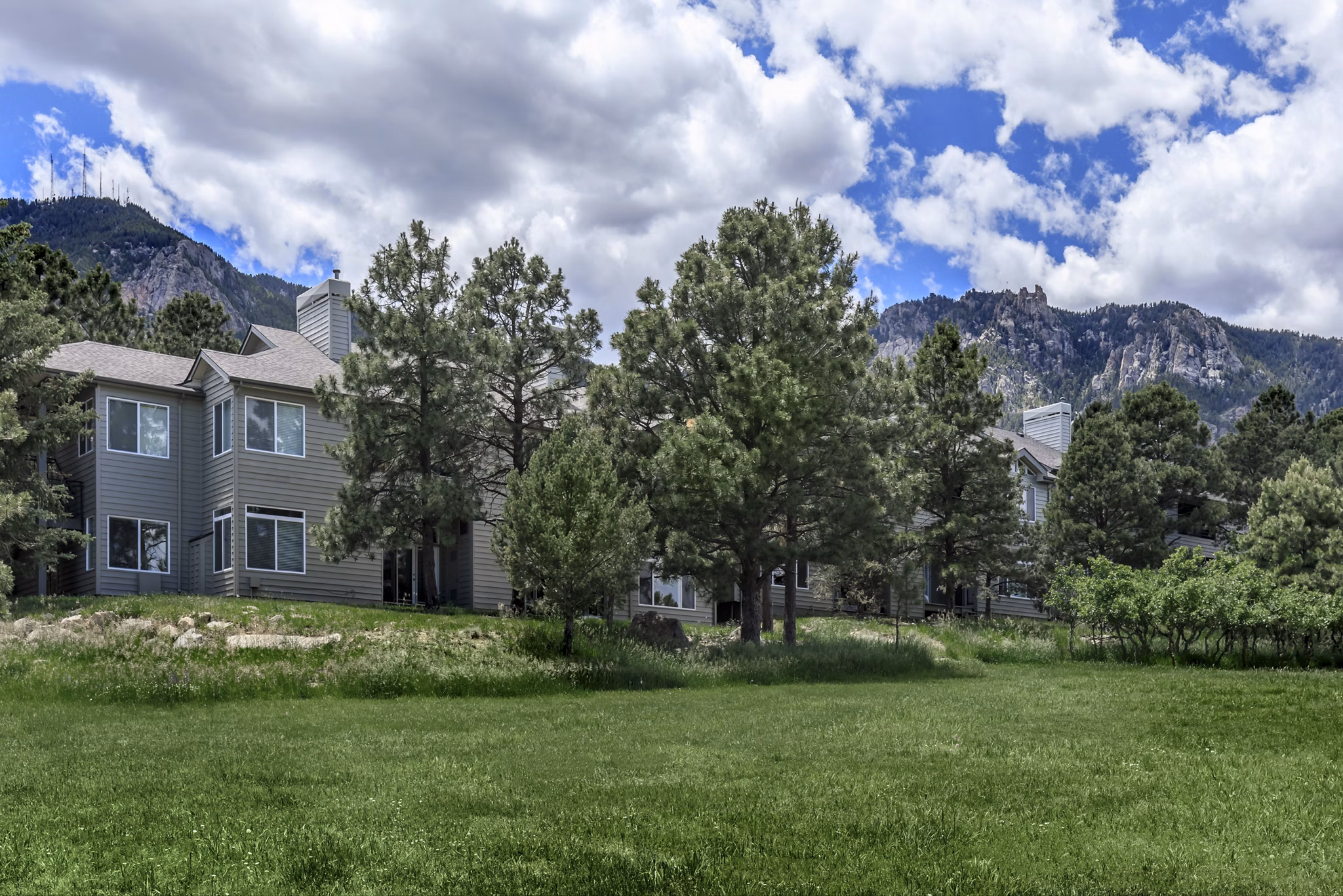 view at Pines at Broadmoor Bluffs Apartments