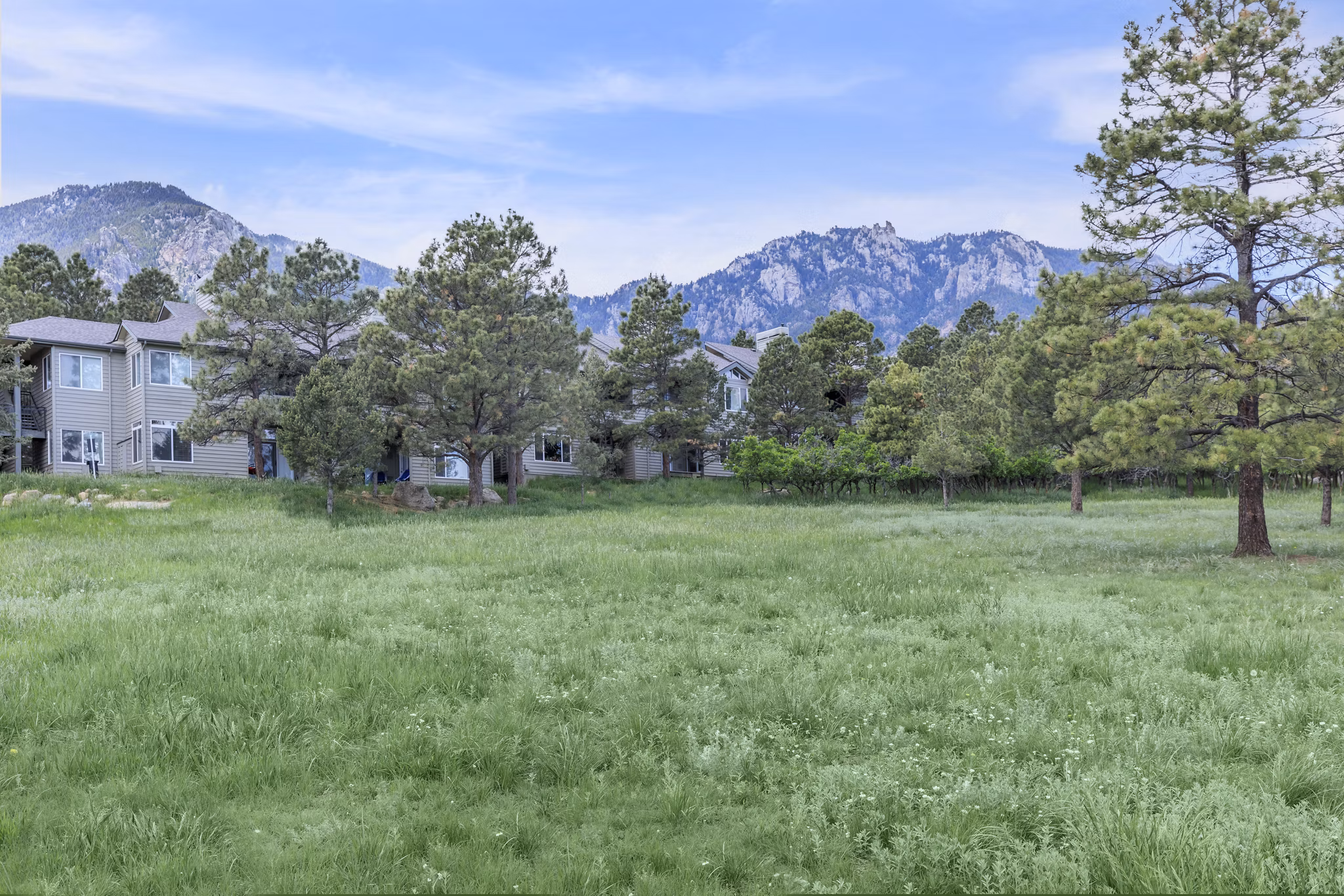 view at Pines at Broadmoor Bluffs Apartments