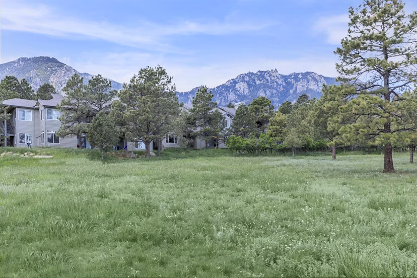 view at Pines at Broadmoor Bluffs Apartments