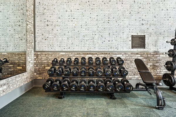 Modern fitness center with state-of-the-art equipment at The Terra Apartment Homes