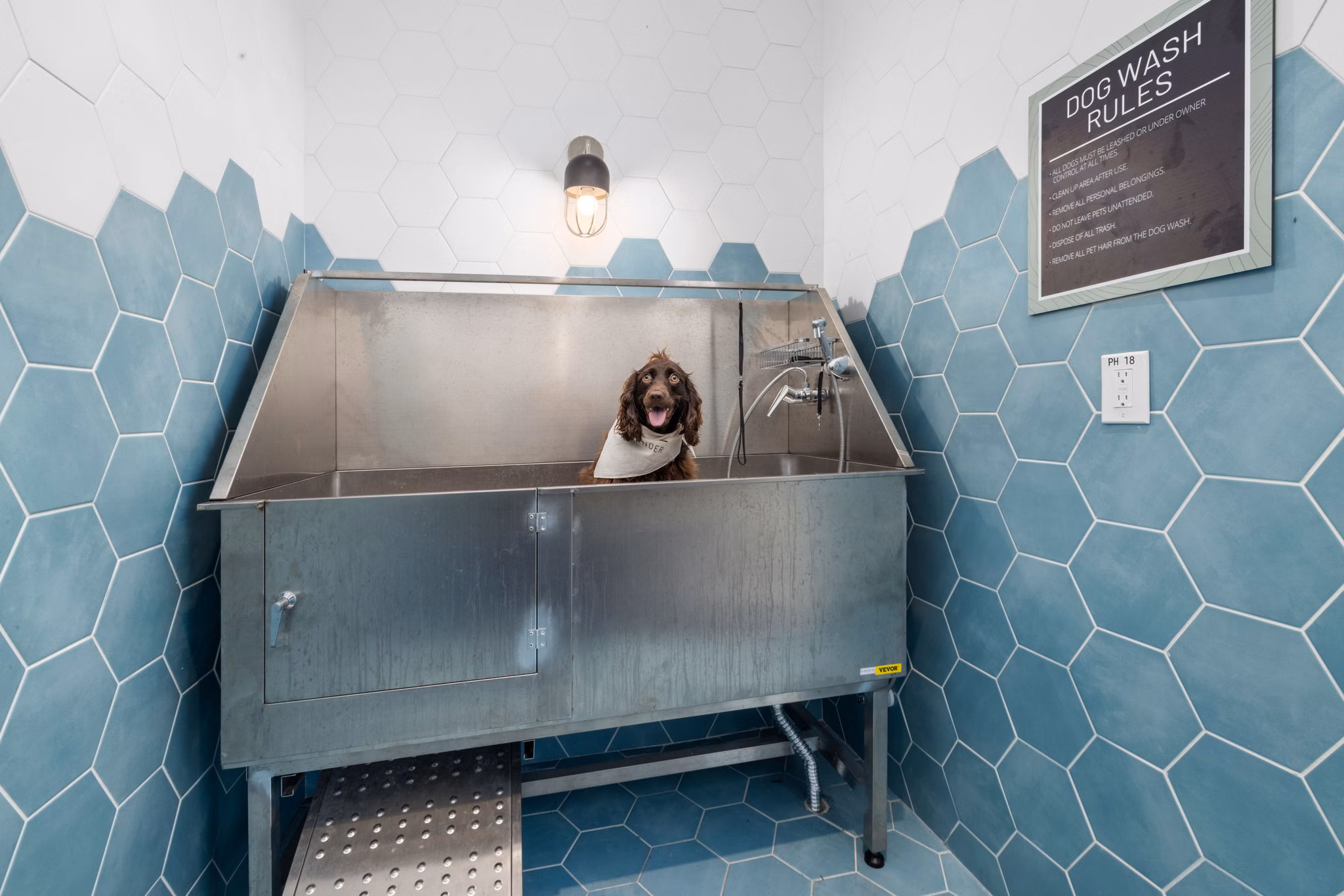 dog wash station at The Range on Oleander Apartments