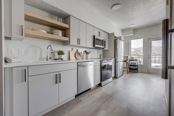 Modern kitchen with stainless steel appliances in The DeWitt Apartments luxurious setting