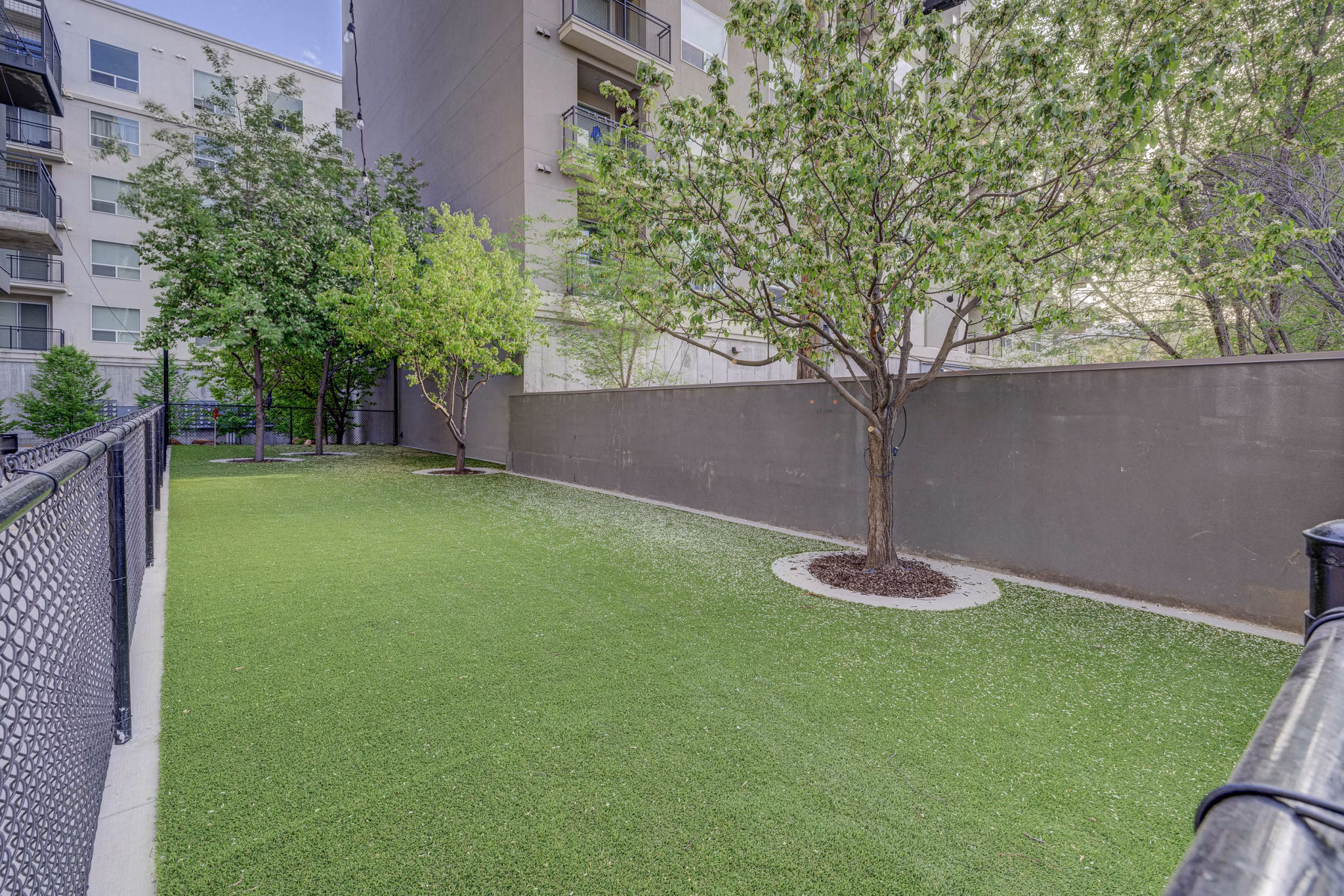 Dog park with agility equipment at The DeWitt Apartments