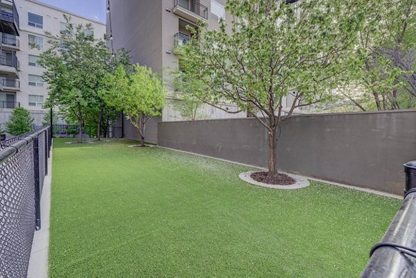 Dog park with agility equipment at The DeWitt Apartments