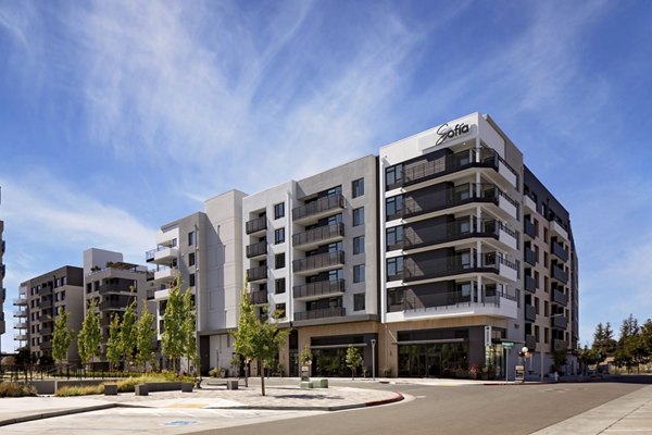 Sofia Apartments: Luxury high-rise building in San Francisco with modern design features