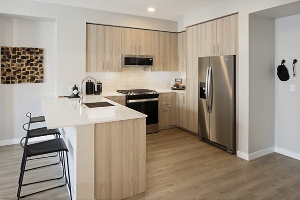 Modern kitchen with stainless steel appliances and breakfast bar in Sofia Apartments