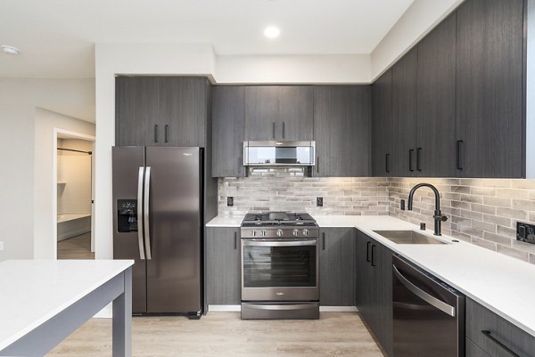 Modern kitchen with stainless steel appliances at Sofia Apartments, luxury living by Greystar