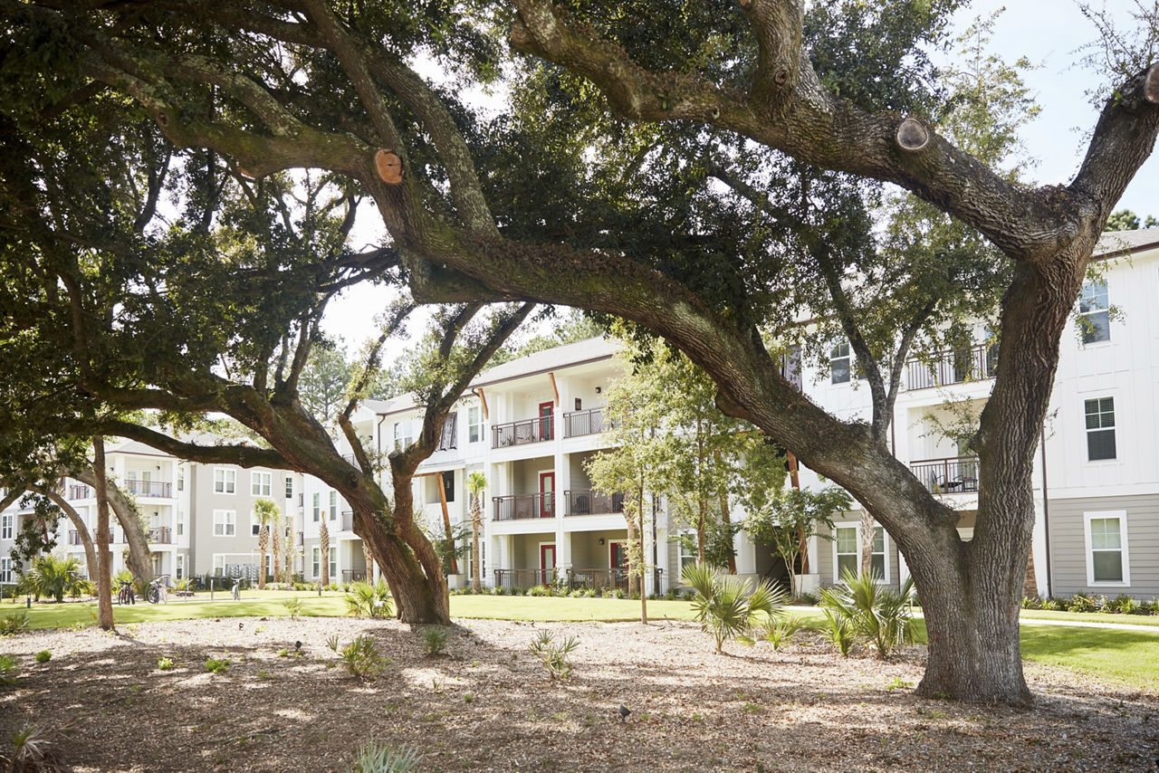 Newbrook Point Hope Charleston Sc 6 of 12
