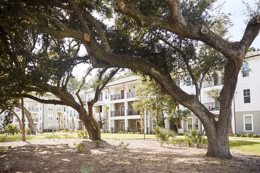 Serene courtyard with lush gardens at Newbrook Point Hope Apartments in Charleston, boasting luxury living by Greystar