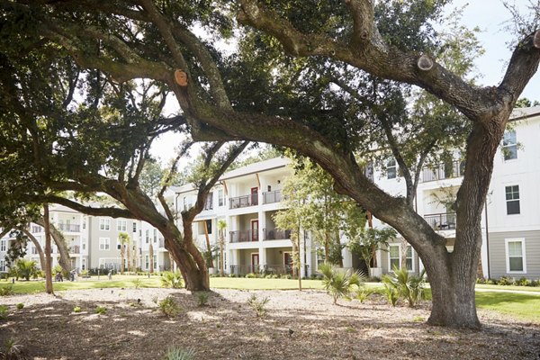 courtyard at Newbrook Point Hope Apartments