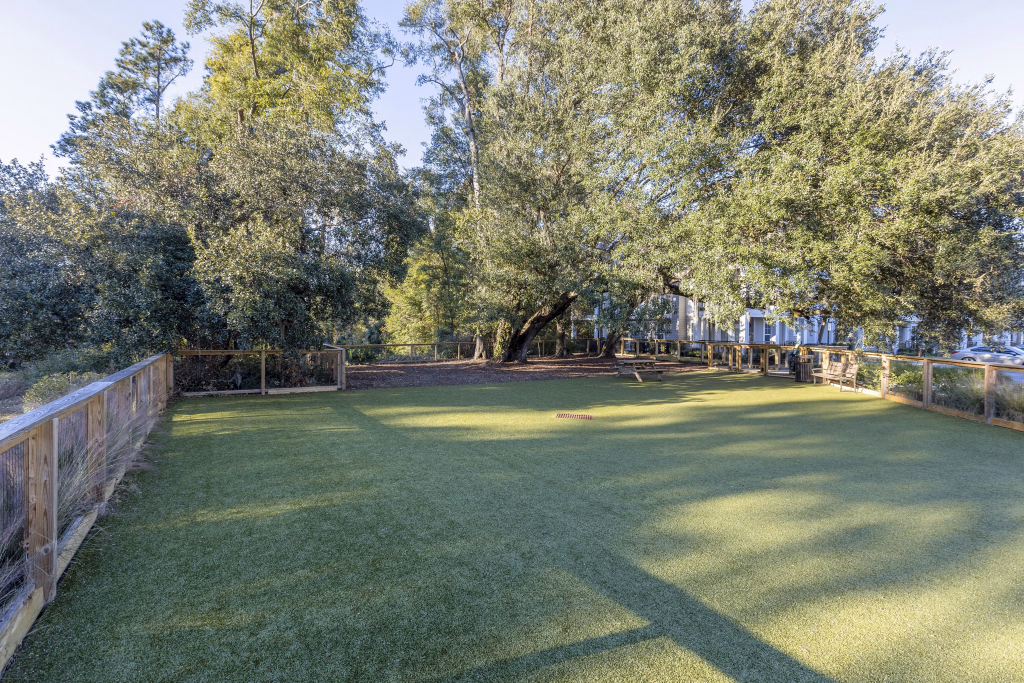 Spacious dog park with agility equipment at Newbrook Point Hope Apartments, perfect for pet owners seeking luxury living