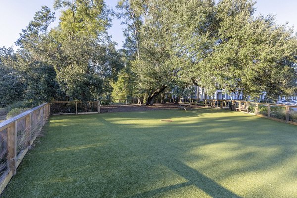 Spacious dog park with agility equipment at Newbrook Point Hope Apartments, perfect for pet owners seeking luxury living