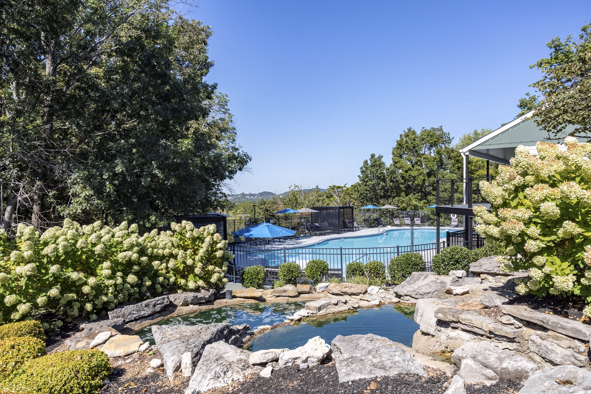 pool at The Jax Apartments