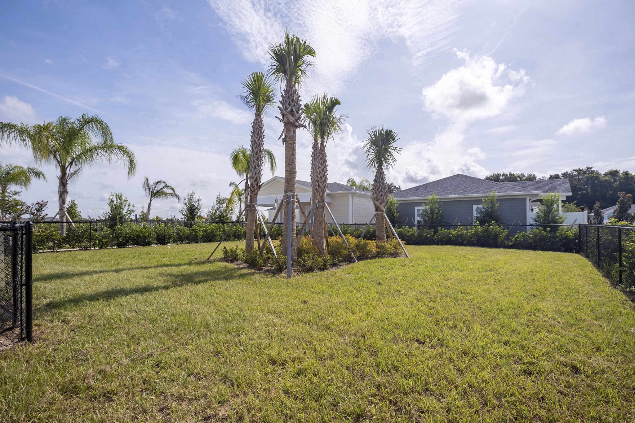 Dog park with agility equipment at Eden Magnolia Village Apartments by Greystar
