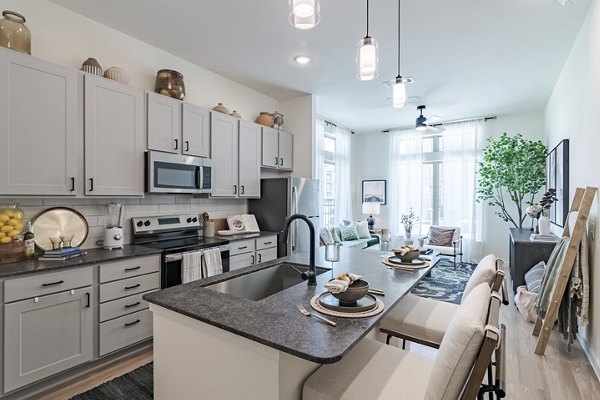 kitchen at Marlowe Denton Apartments 