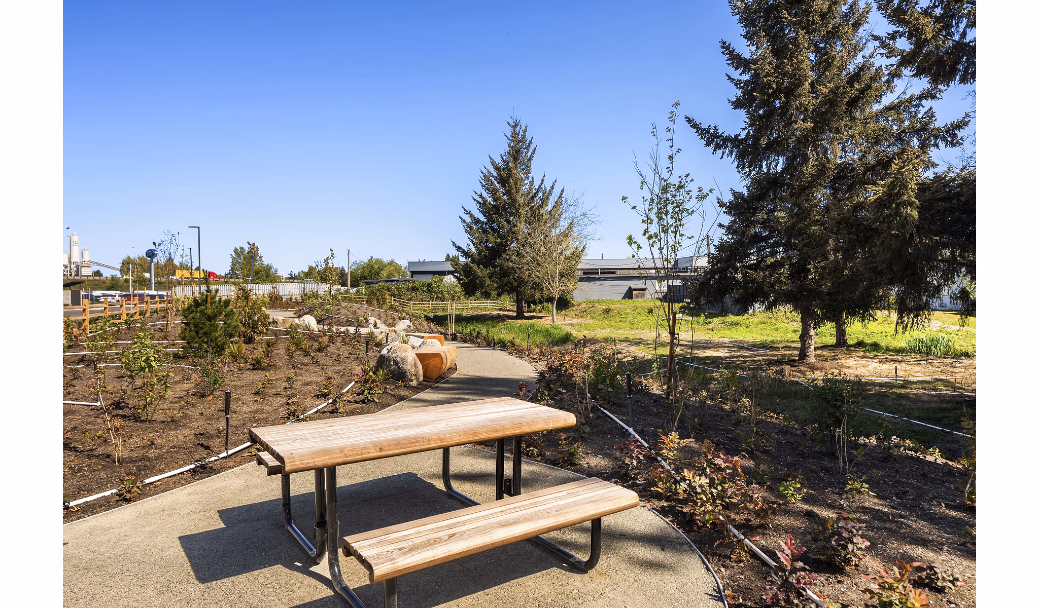 Courtyard with lush greenery and seating at Prose Kent Station Apartments, a Greystar luxury community