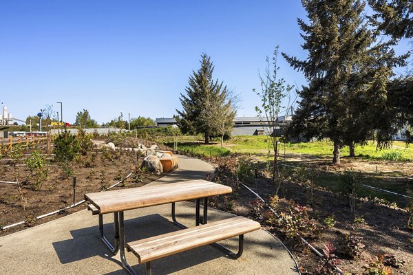 Courtyard with lush greenery and seating at Prose Kent Station Apartments, a Greystar luxury community