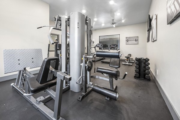 Modern fitness center with state-of-the-art equipment at Sierra Pines Apartments