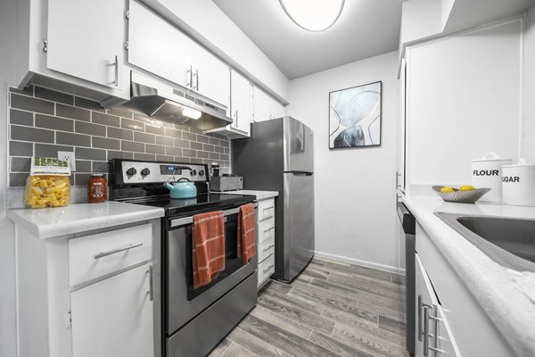 Modern kitchen with stainless steel appliances at Sierra Pines luxury apartments