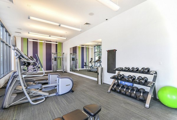 State-of-the-art fitness center with modern equipment at Flats on D Apartments
