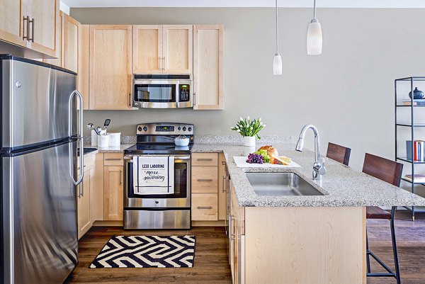 Modern kitchen featuring stainless steel appliances and granite countertops at Flats on D Apartments