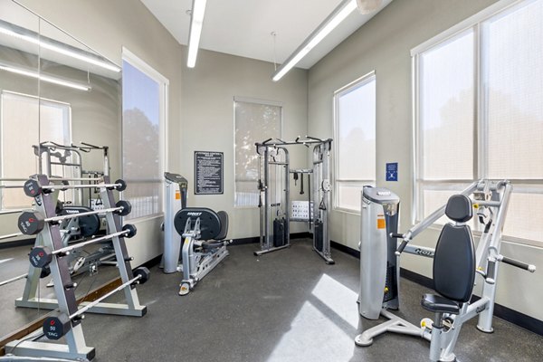 State-of-the-art fitness center with modern equipment at Belmar Villas Apartments, a Greystar luxury residence