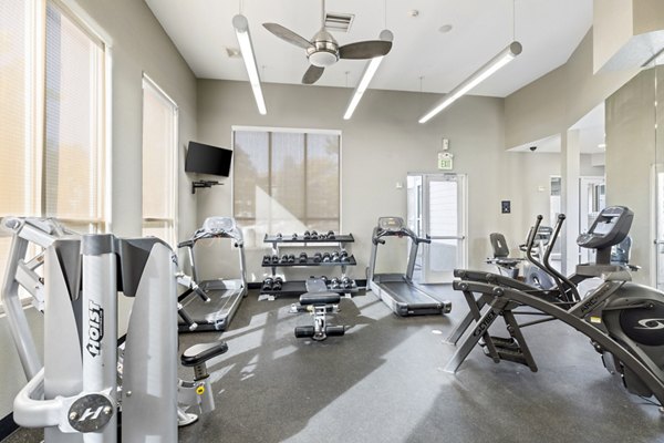 Belmar Villas Apartments: Modern fitness center with state-of-the-art equipment