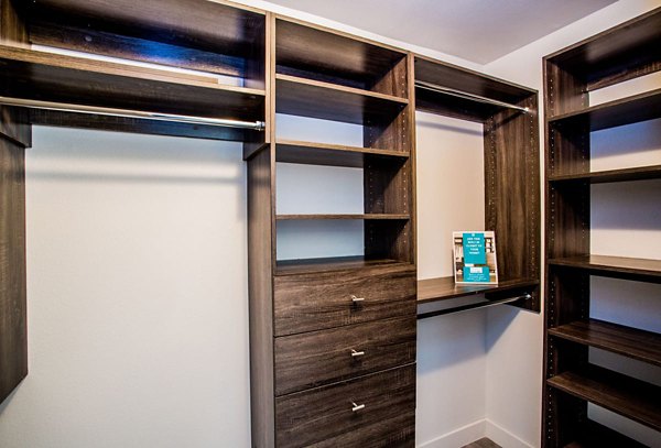 Walk-in closet with custom shelving in Cyan at Green Valley Apartments