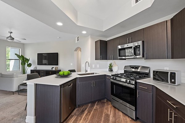 Modern kitchen with stainless steel appliances in Cyan at Green Valley Apartments