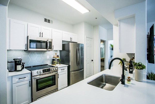 Modern kitchen with sleek appliances at The Presley luxury apartments in Whitney Ranch Homes