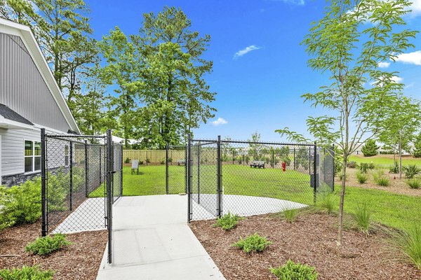 Dog-friendly kitchen area at River Rock at Blume Road Apartment Homes