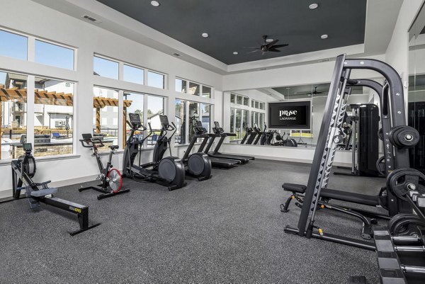 State-of-the-art fitness center with modern equipment at Prose LaGrange Apartments