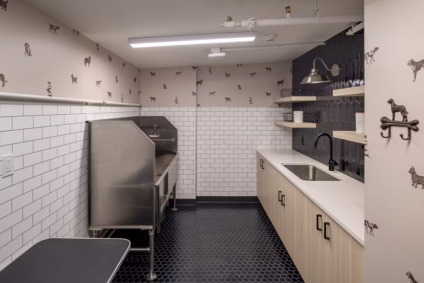Dog wash station with modern facilities at Vyne on Haven Apartments Perfect for pet-friendly luxury living