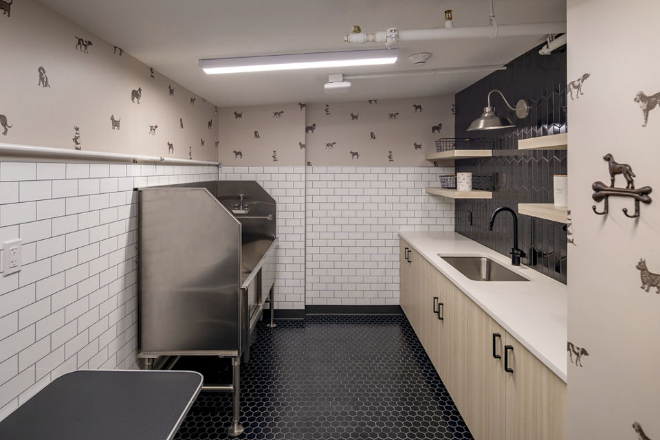 Dog wash station with modern facilities at Vyne on Haven Apartments Perfect for pet-friendly luxury living