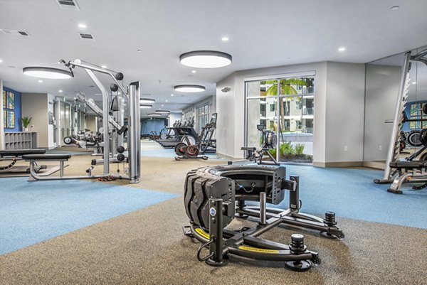 State-of-the-art fitness center with modern equipment at Alta Washington Apartments, perfect for active lifestyles