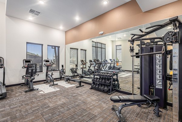 Modern fitness center with state-of-the-art equipment at The Preserve at Mesa Creek Apartments, offering residents a luxury workout experience