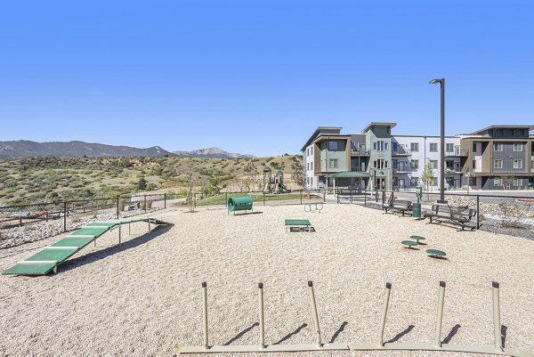 dog park at The Preserve at Mesa Creek Apartments